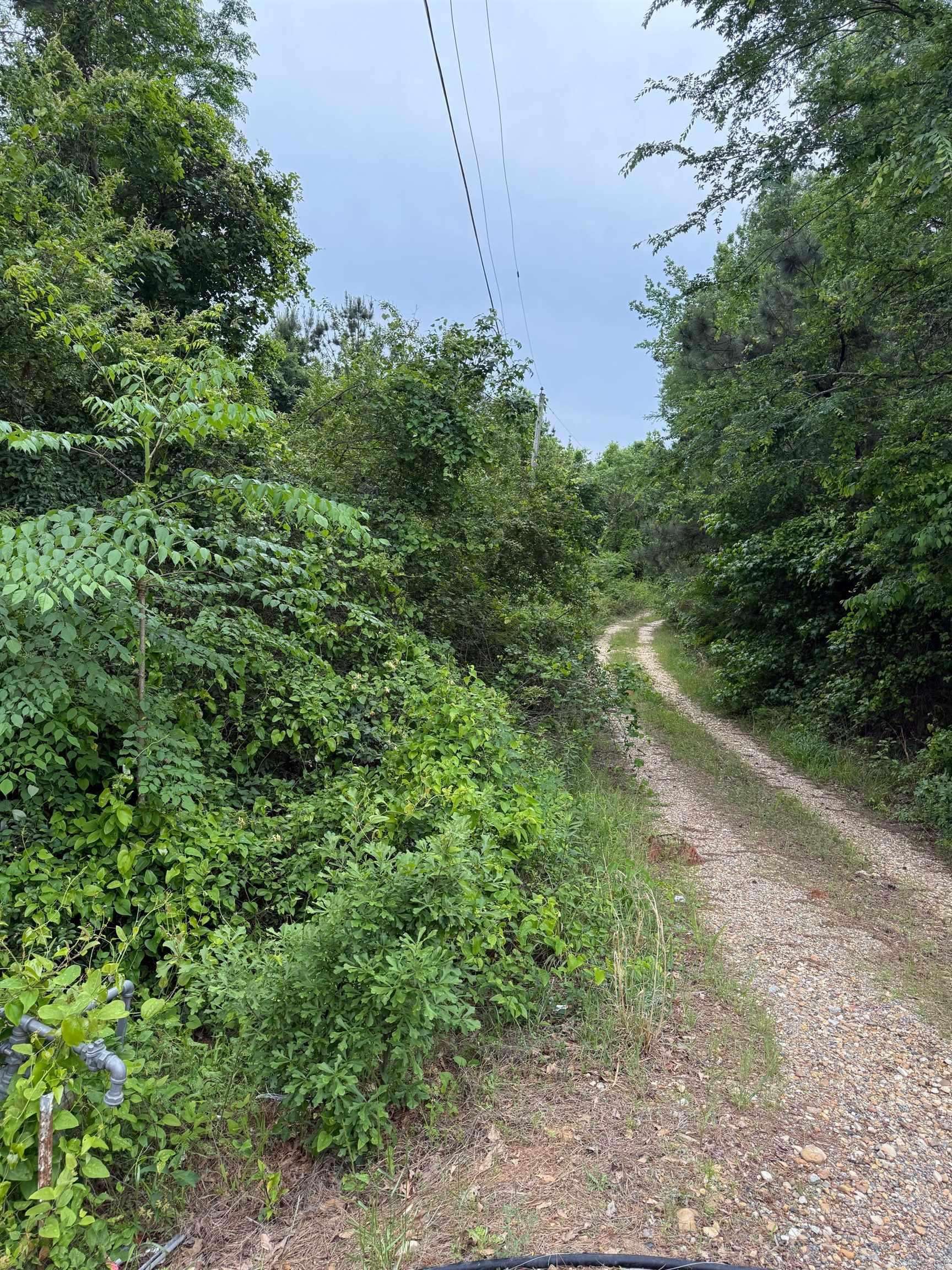 Arkadelphia, AR 71923,TBD Pine Street