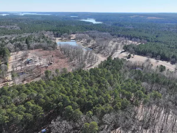 0000 Brushy Road, Amity, AR 71921