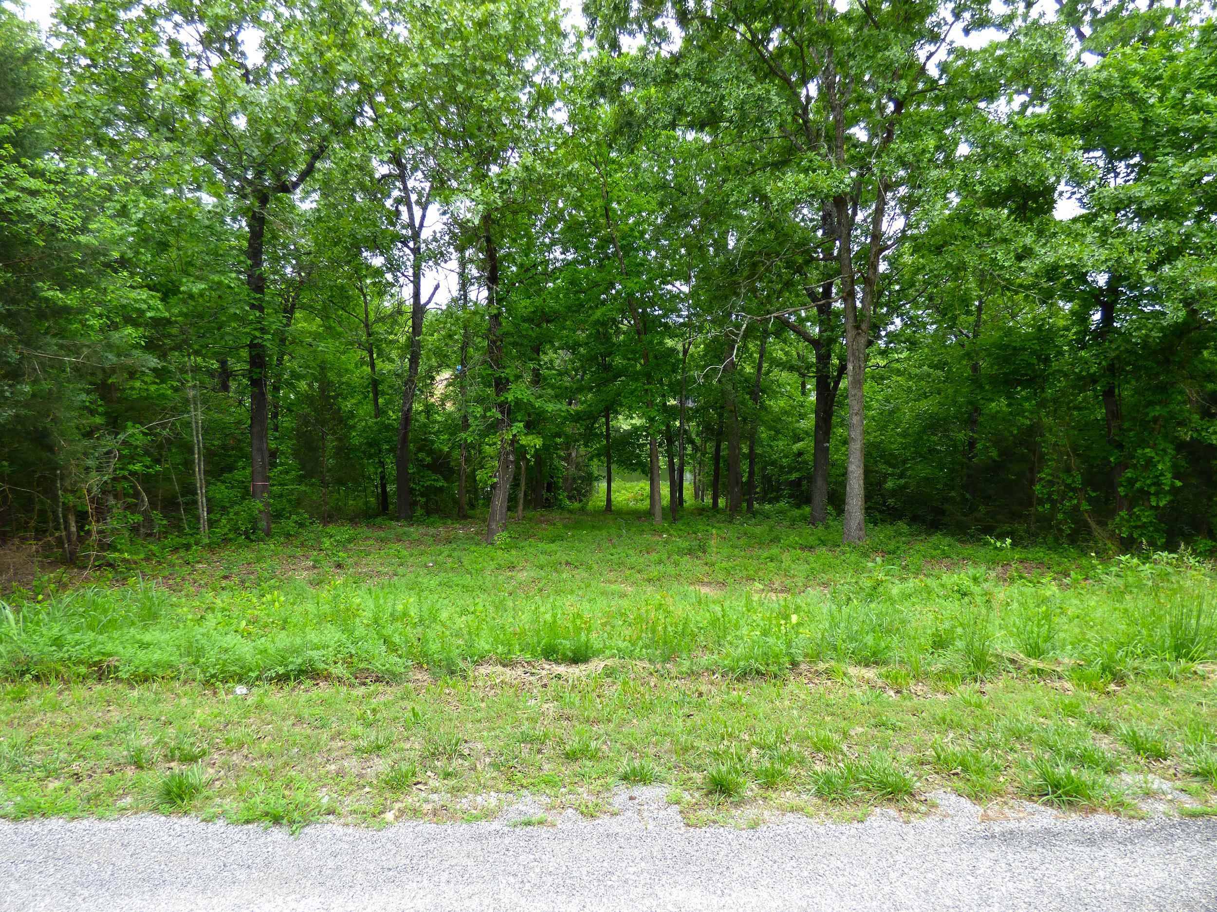 Cherokee Village, AR 72529,Tonganoxie Road