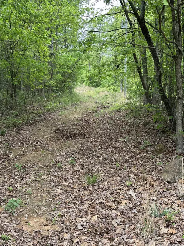 Edgemont, AR 70244,4090 Sunny Slope Road