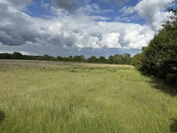 Greenbrier, AR 72058,0000 Burkett Flat Road
