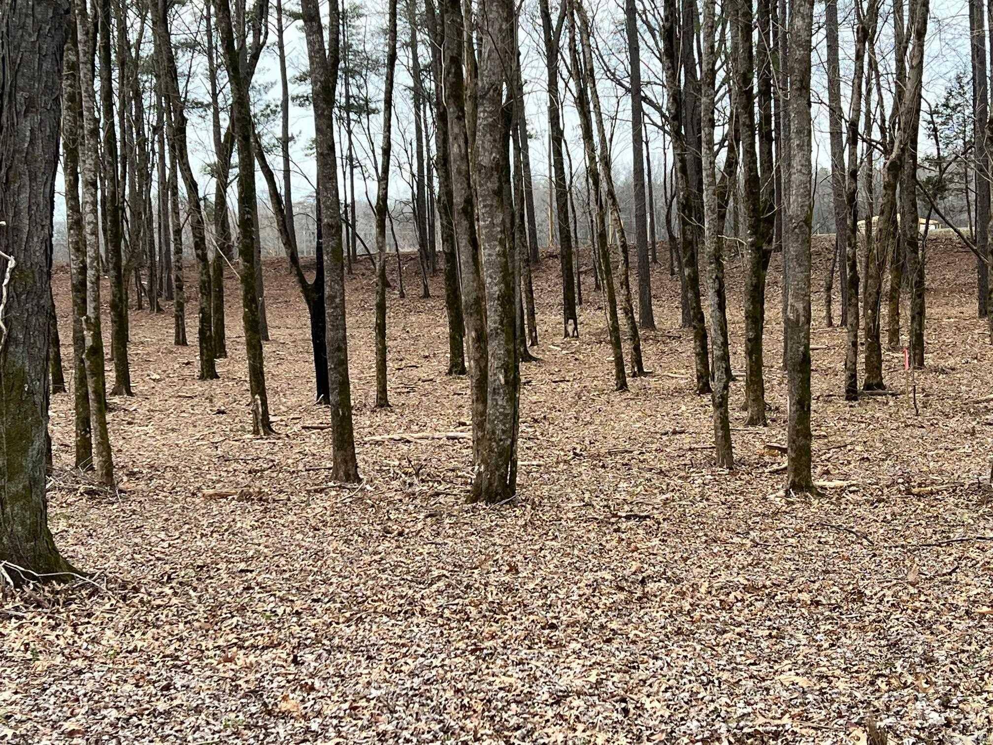 Pangburn, AR 72121,00 Sunshine Land