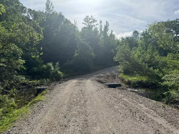 Oden, AR 71961,Tract 2 Jaymeson RD