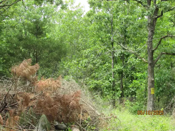 Cabot, AR 72023,0 Larkspur/McGill Rd