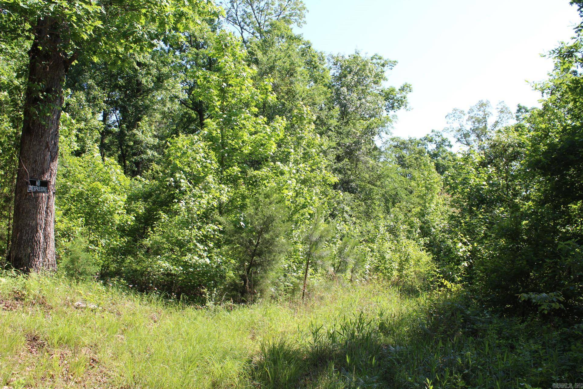 Nashville, AR 71852,Coulter Lane