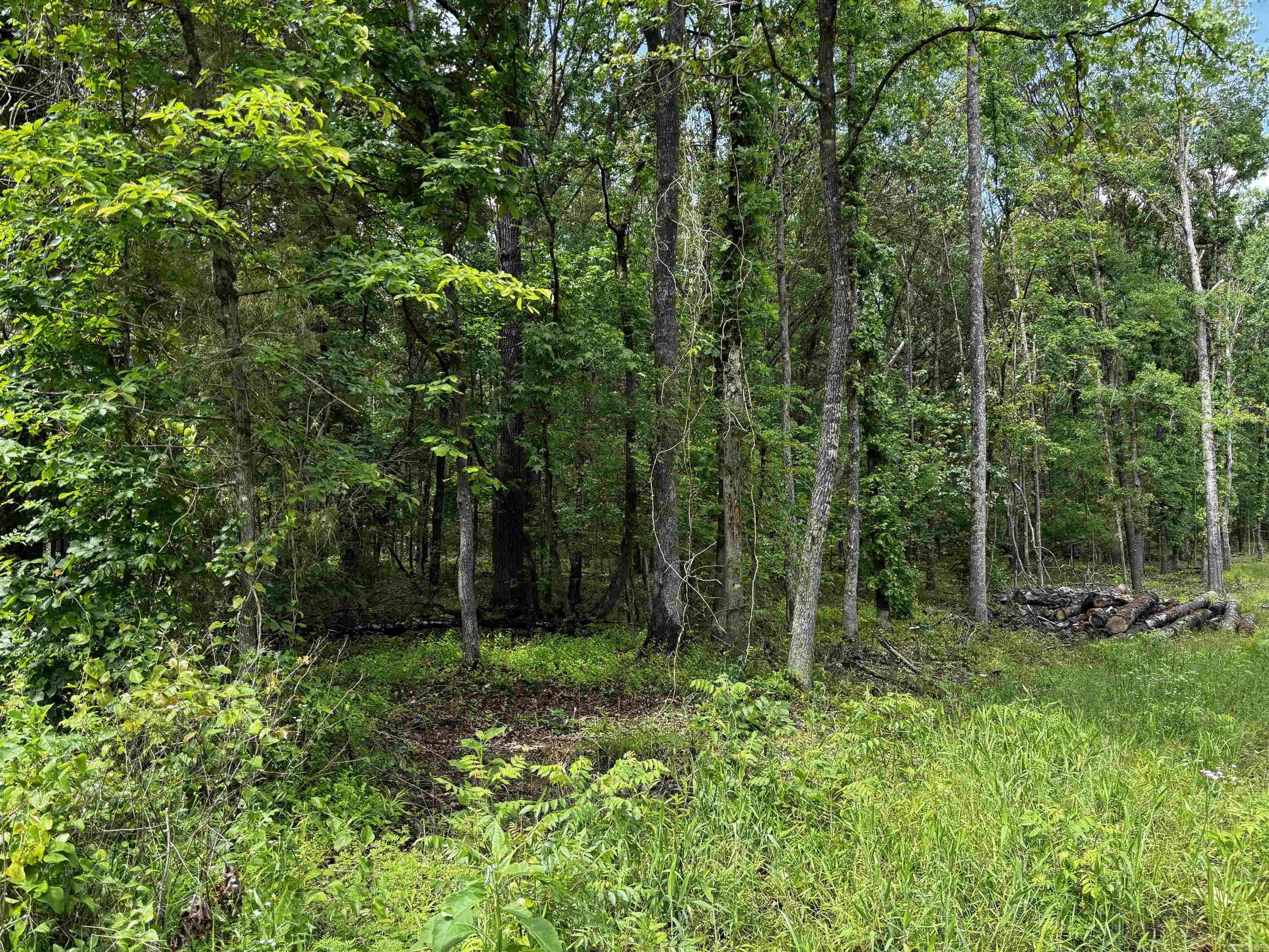 Atkins, AR 72823,00 Gold Hill Road