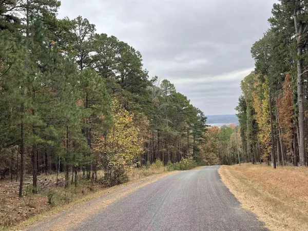 Shirley, AR 72153,60 Lake Park Dr.