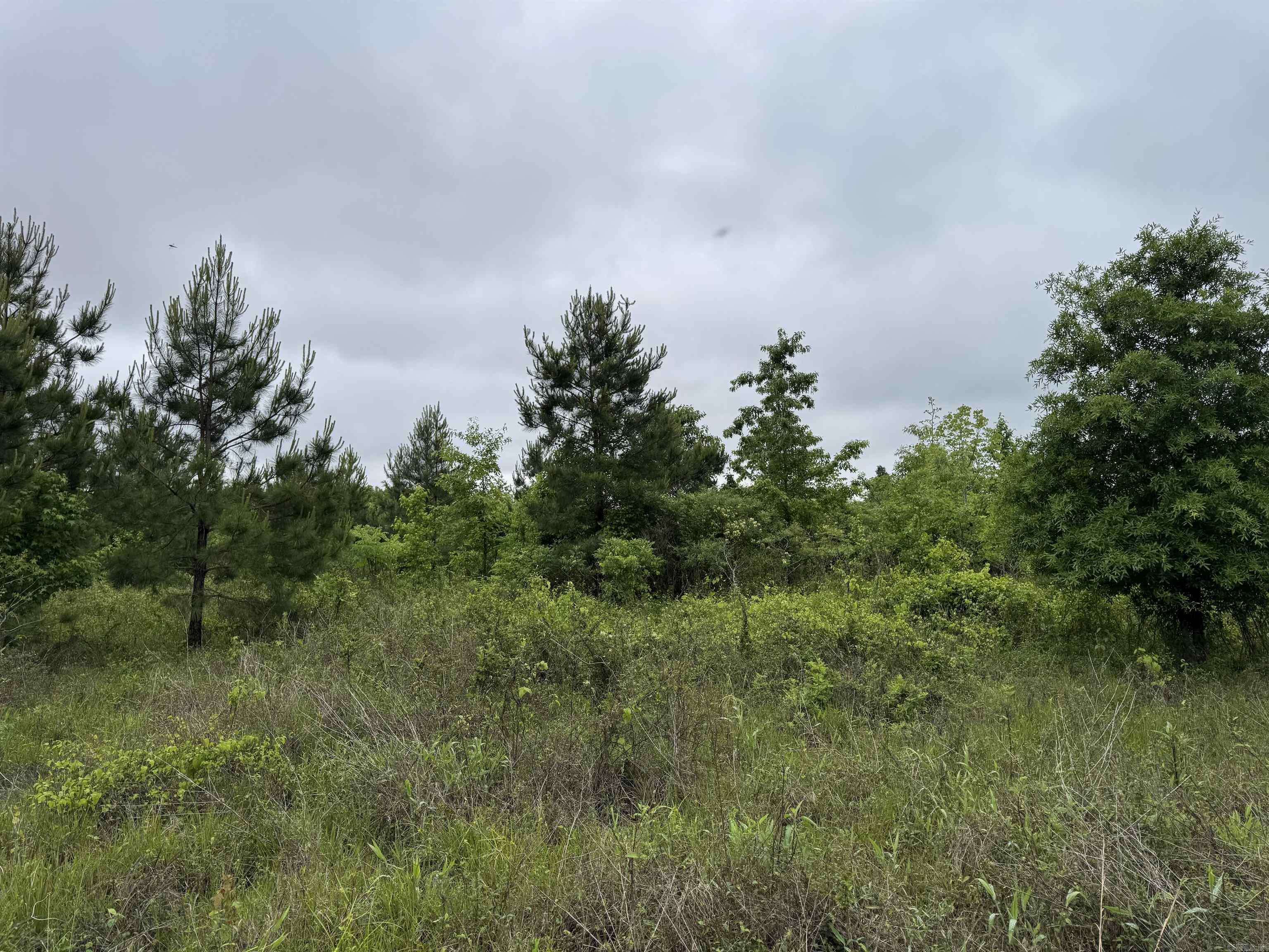 West Point, AR 72143,000 S River Rd & Mail Route Rd