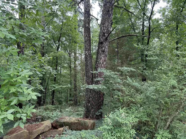 Heber Springs, AR 72543,Lots 3 & 4 Block 6 Glenwood Addition