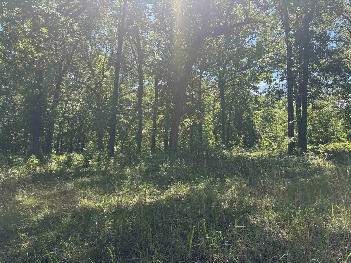 Mammoth Spring, AR 72554,TBD Hillcrest Road