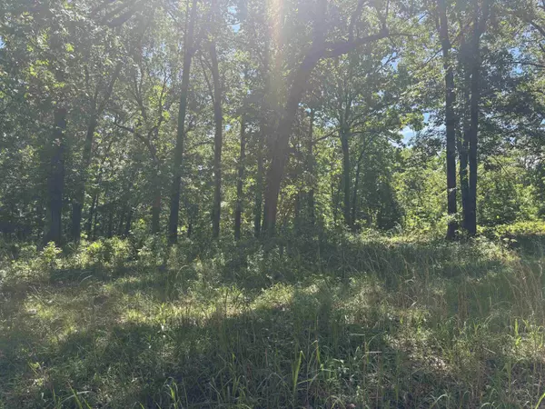 TBD Hillcrest Road, Mammoth Spring, AR 72554