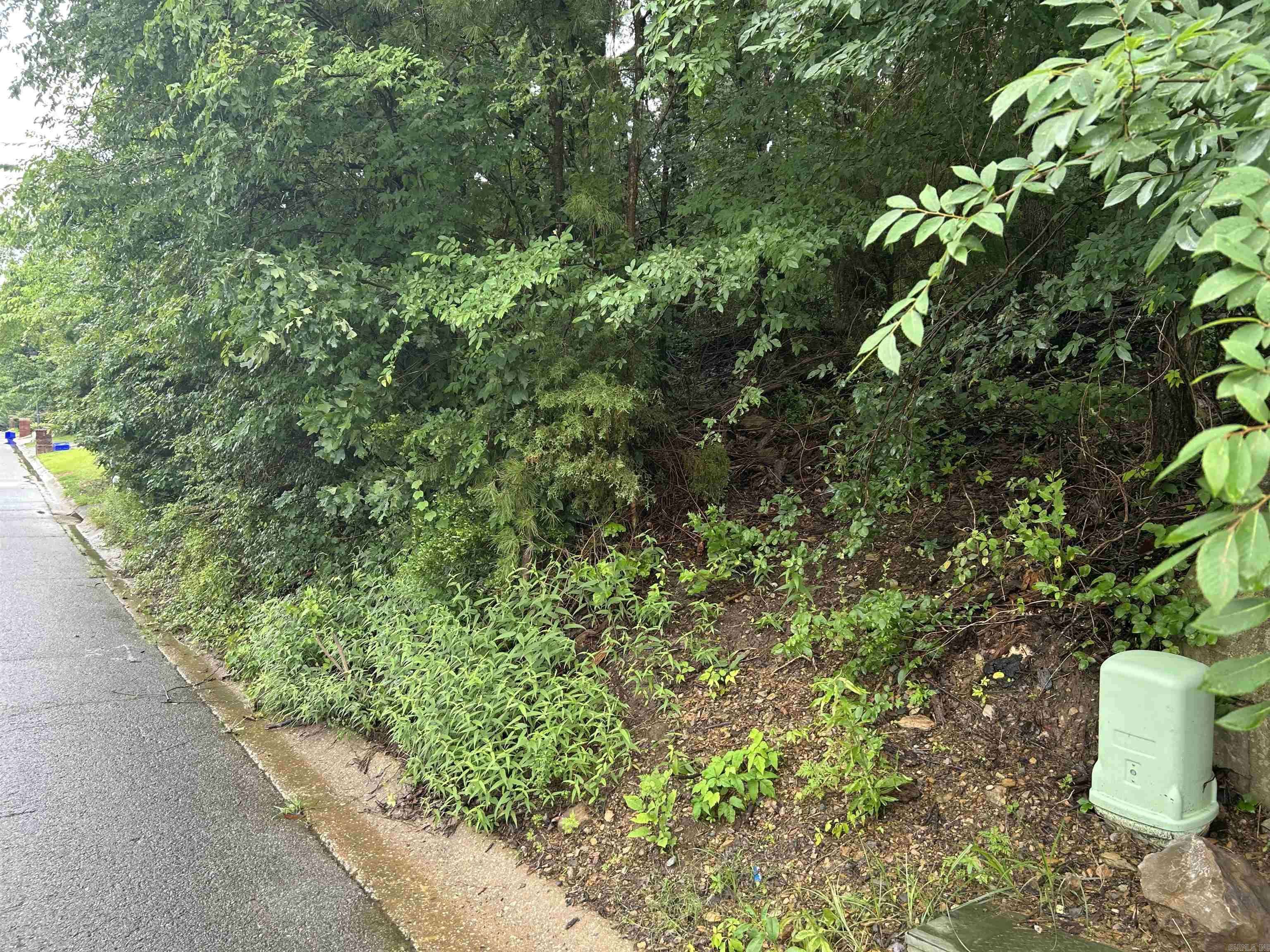 Maumelle, AR 72113,26 Norfork Drive