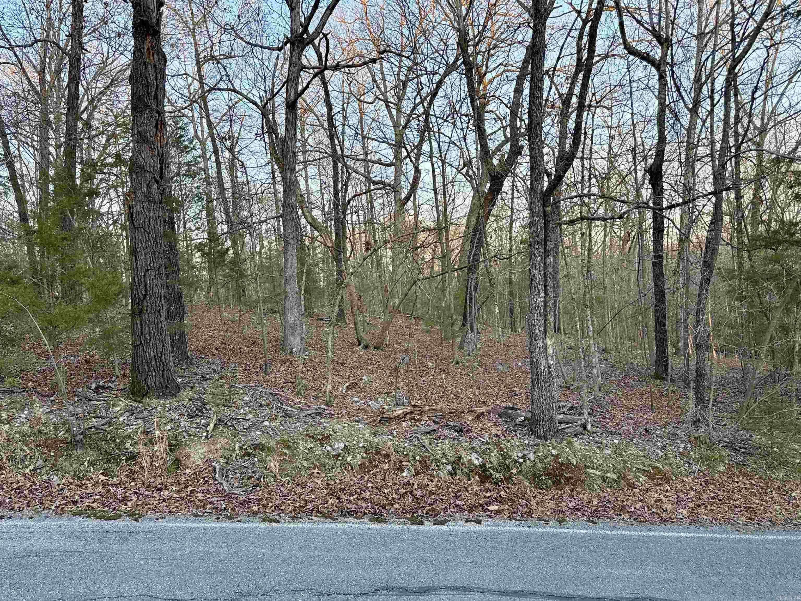 TBD Edgewood Bay Drive, Lakeview, AR 72642