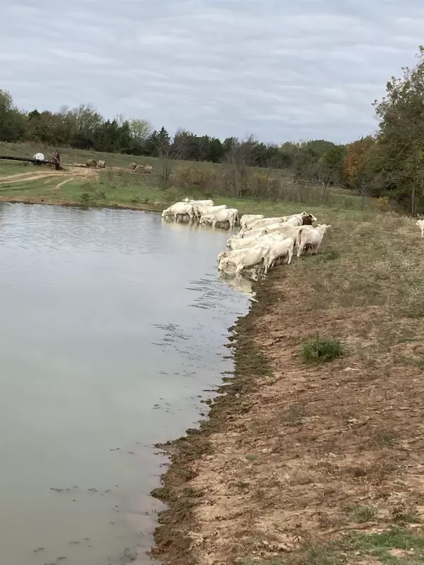 Dardanelle, AR 72834,Address not disclosed