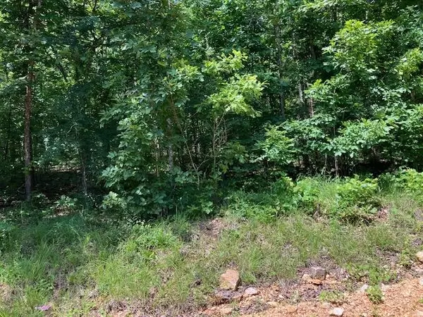 Mammoth Spring, AR 72554,Lots 6 & 7 Hillview Addition