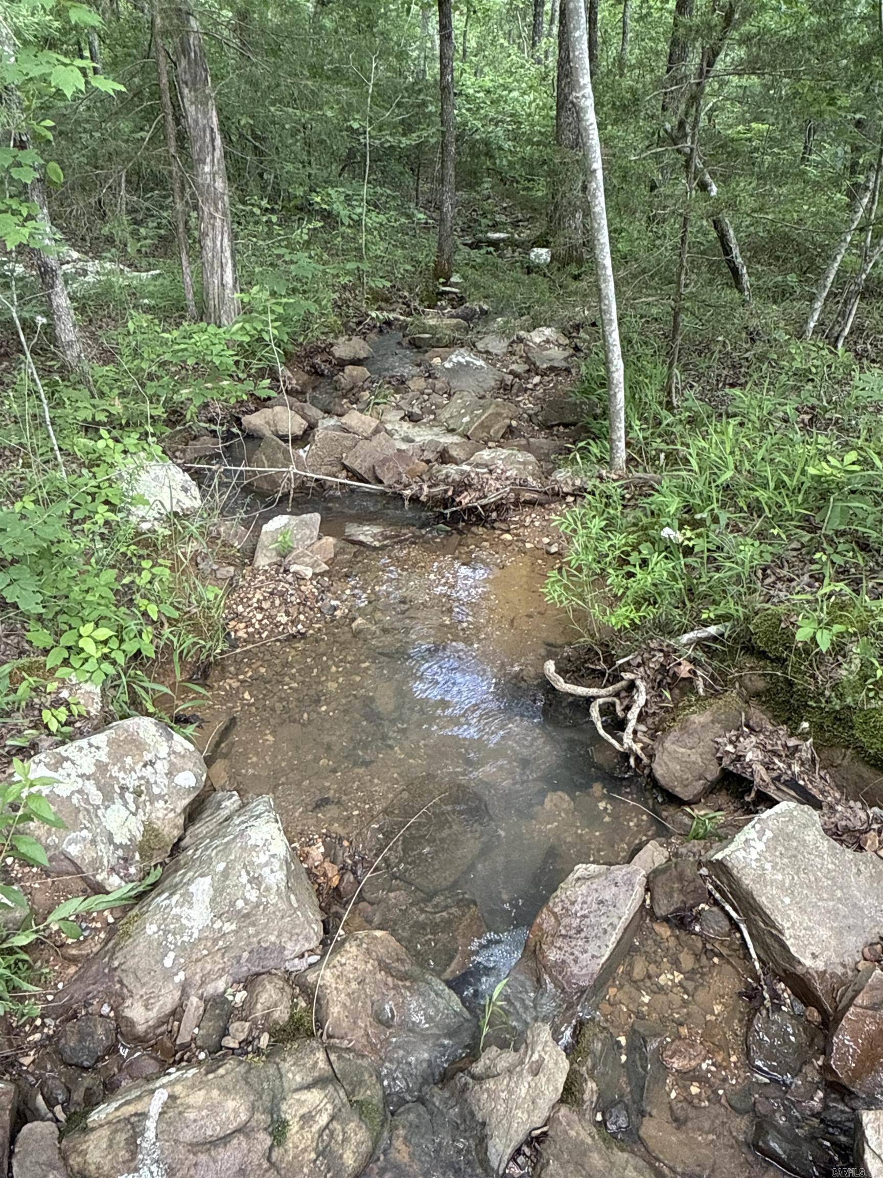 0 Red River Road, Marshall, AR 72650