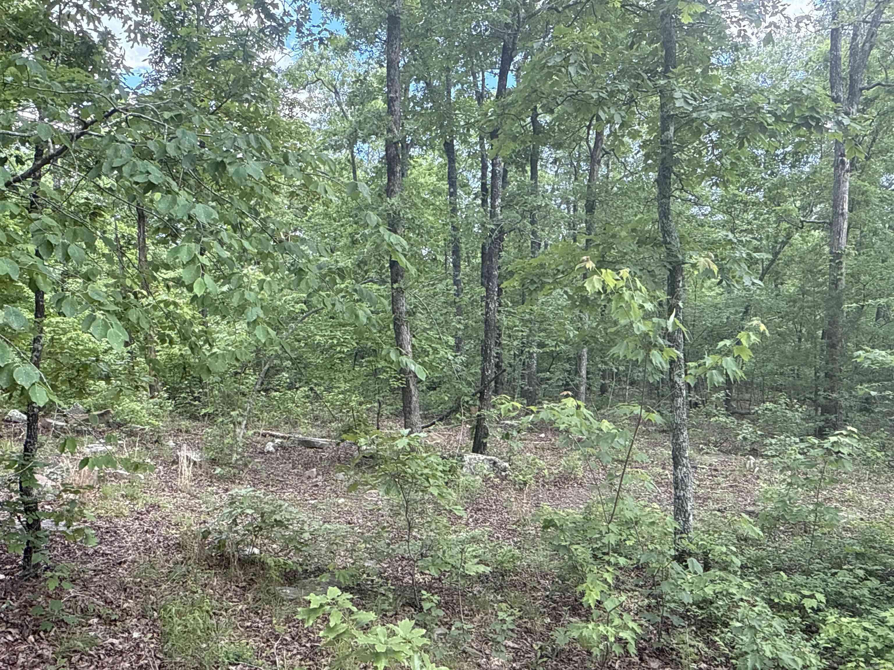 Marshall, AR 72650,0 Red River Road