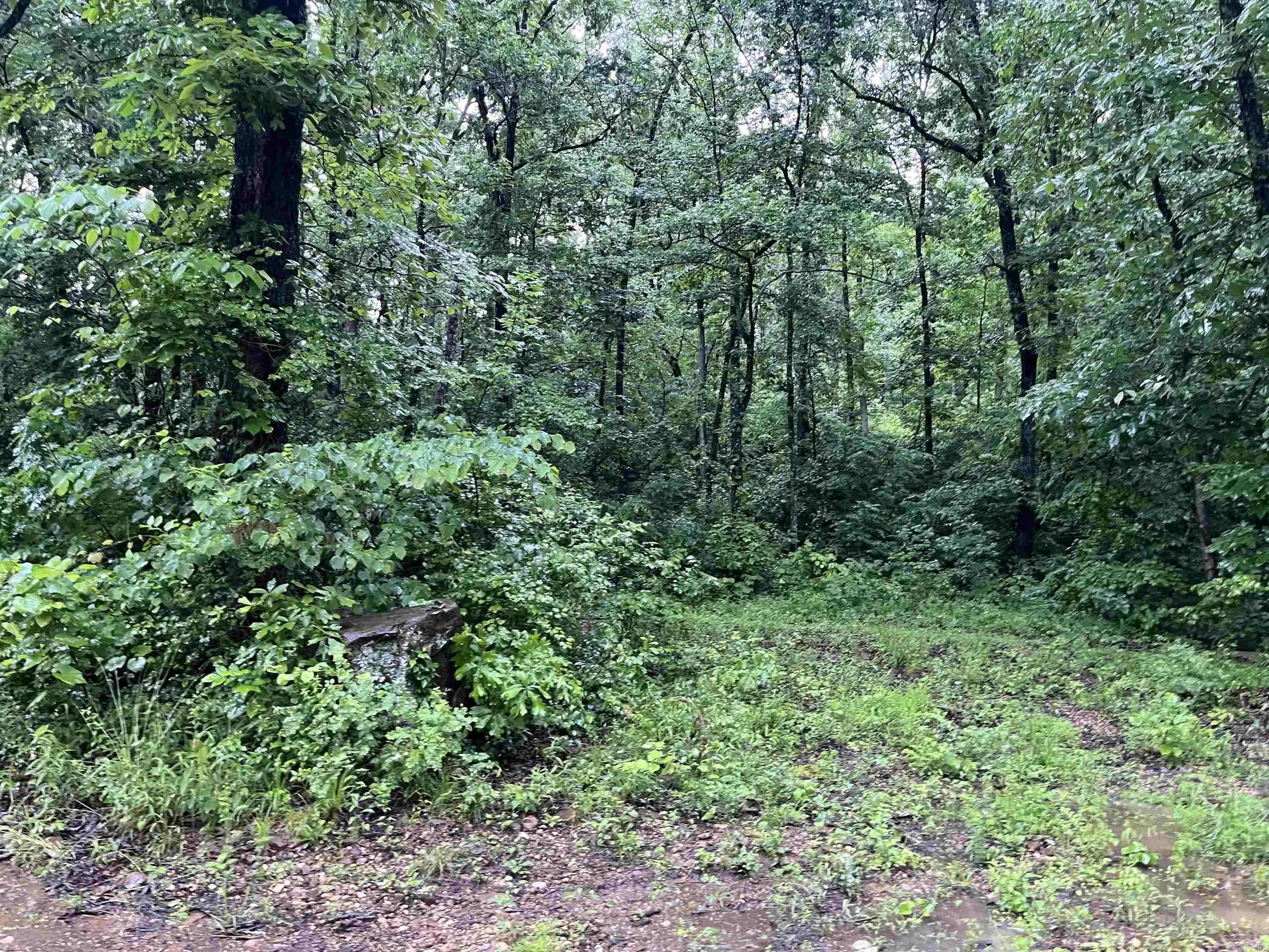Marshall, AR 72650,00 Endline Road