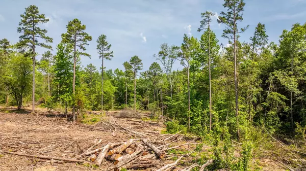 Clinton, AR 72031,Tract 5 Harmony Mountain Road