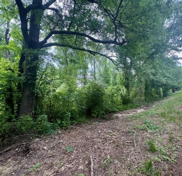 000 Hwy 53, Rosston, AR 71858