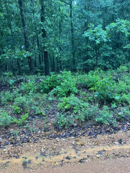 Newman Trail, Williford, AR 72482