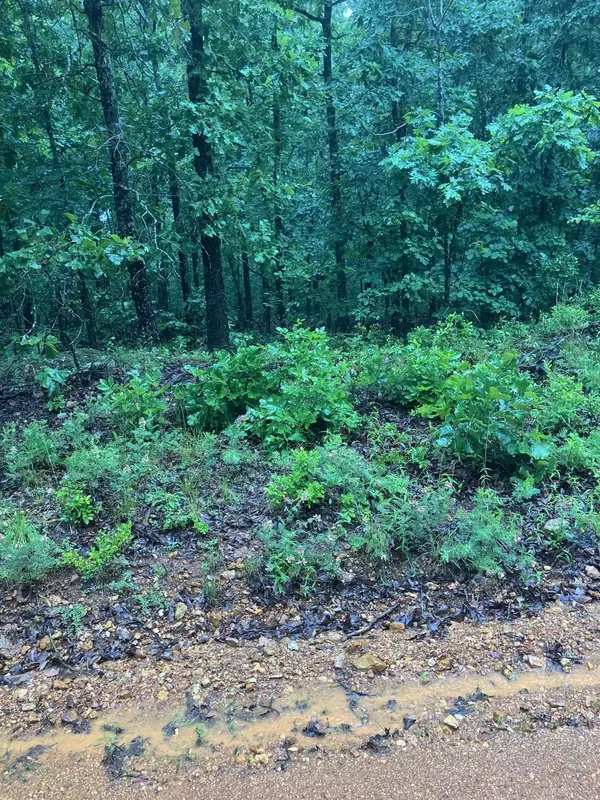 Newman Trail, Williford, AR 72482
