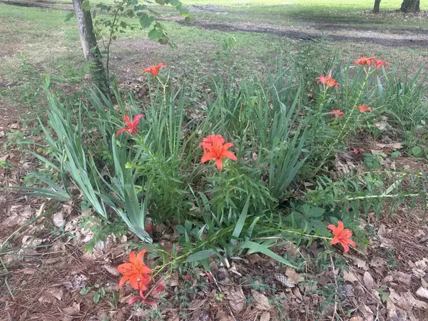 Austin, AR 72007,3620 Hwy 319 W