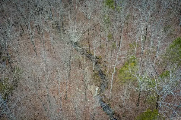 Edgemont, AR 72044,Lot 5 Florence Road