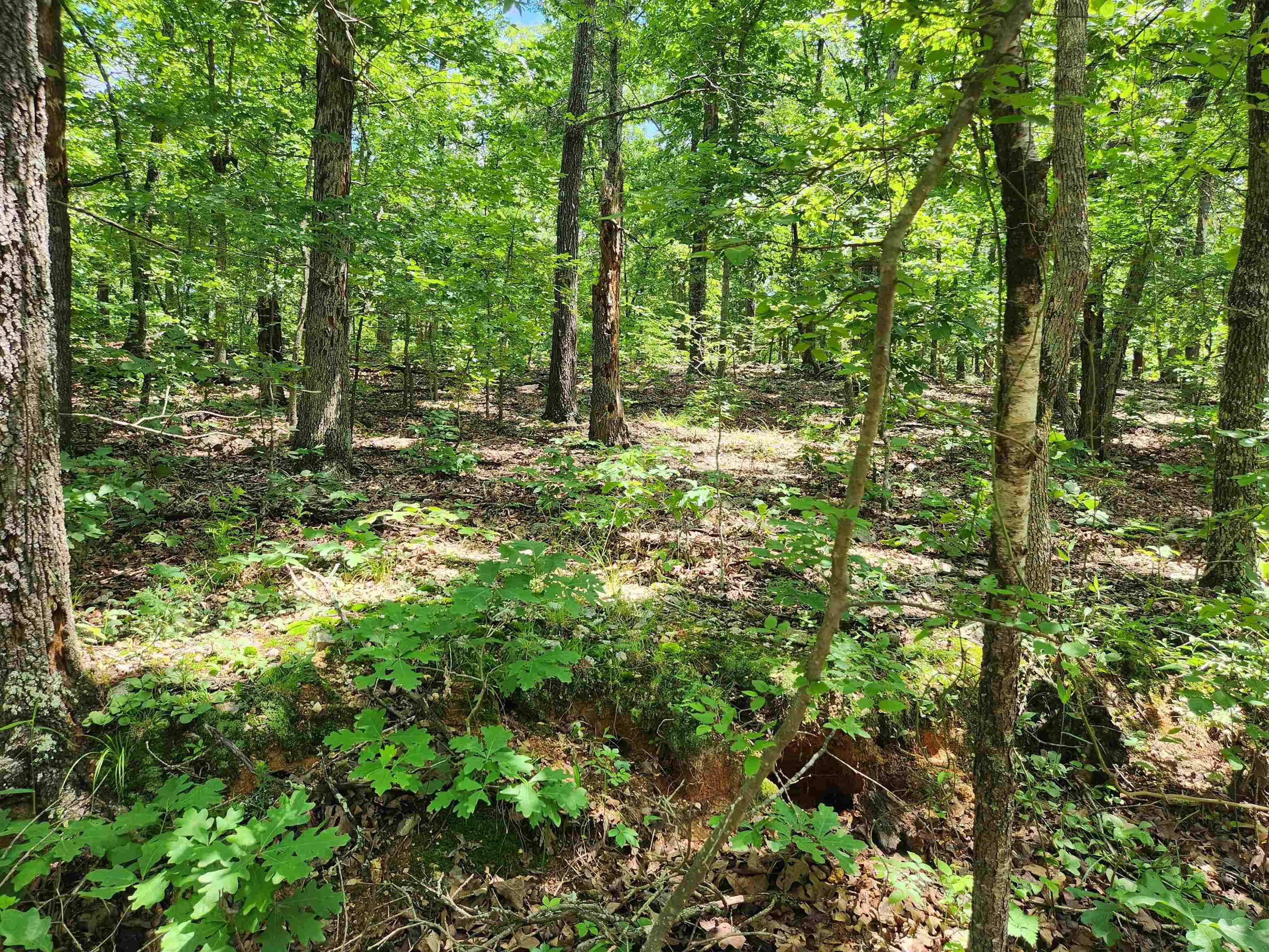 Highland, AR 72529,L-14, B-4 Piute Drive