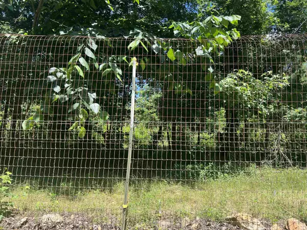 Bonnerdale, AR 71933,246 Burgess Road