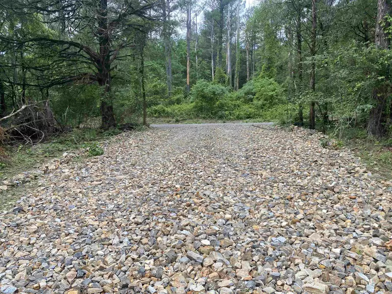 TBD2 Stevenson Road, Pencil Bluff, AR 71965