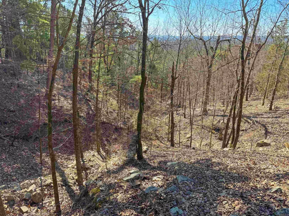 Mayflower, AR 72106,1 High Point Drive