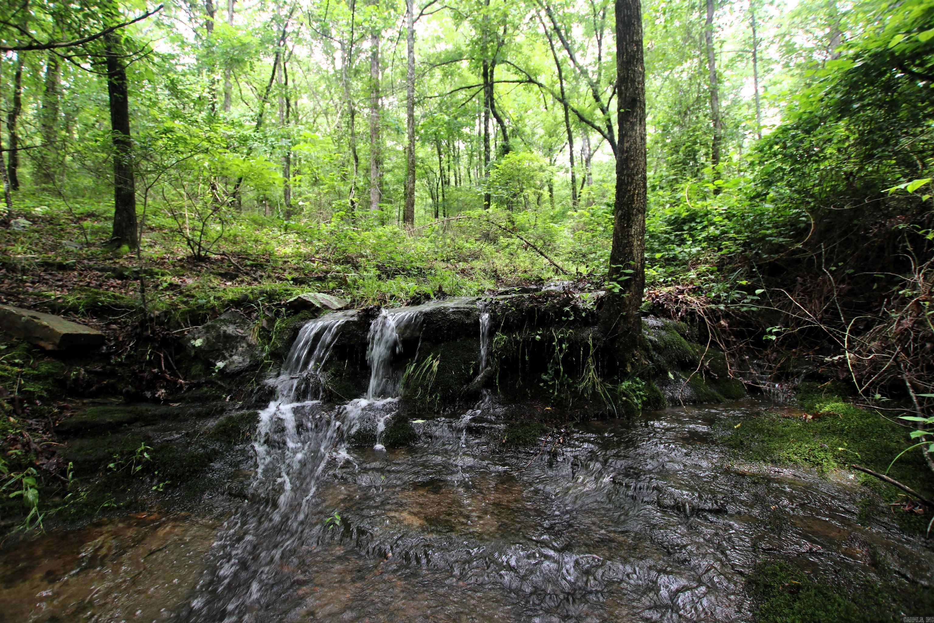 Clinton, AR 72031,000 Merryman Road