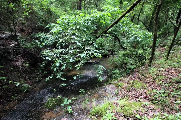 Clinton, AR 72031,000 Merryman Road