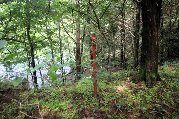 Atkins, AR 72823,000 AVE 5 SW Street