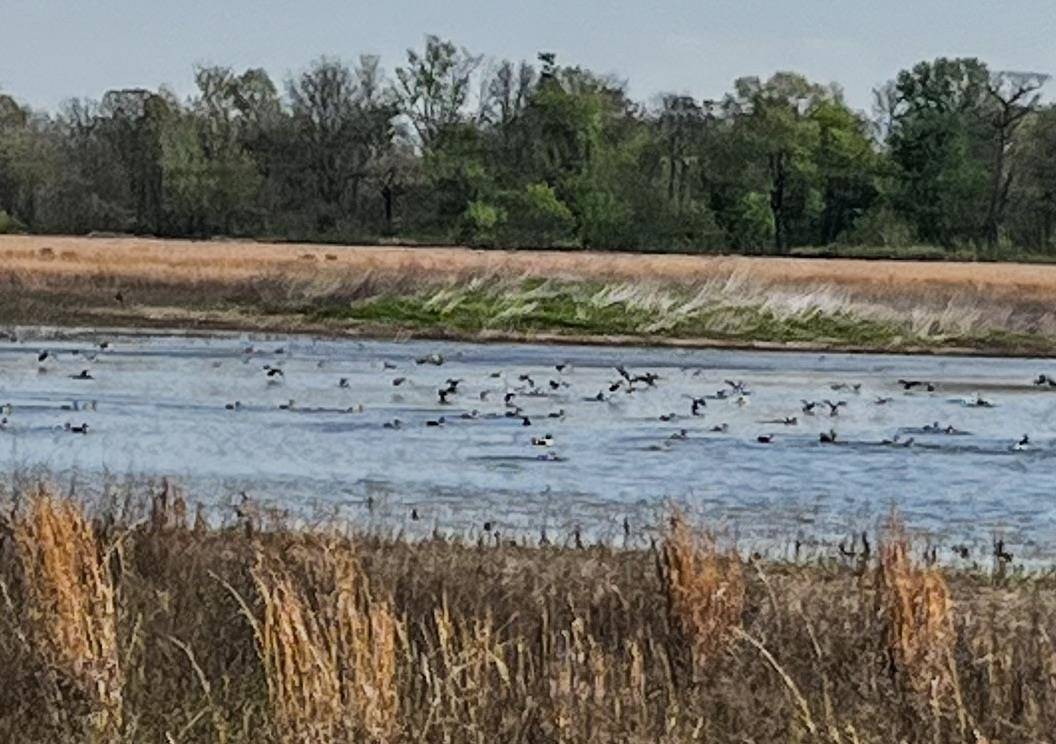 Cord, AR 72524,1962 acres Upper Lockhart Road