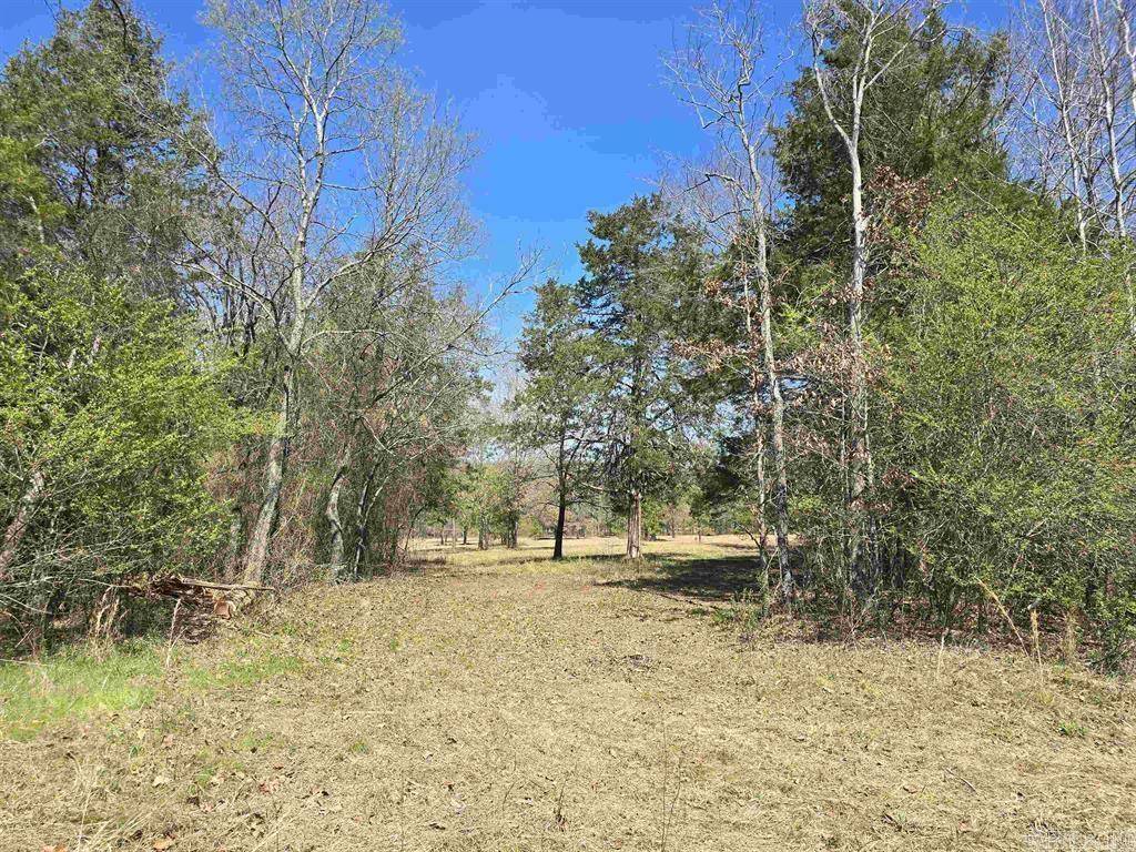 Greenbrier, AR 72058,360 Banister Rd.