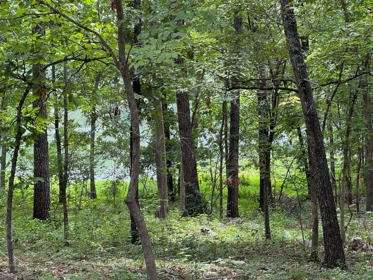 Cherokee Village, AR 72529,Monongahela Drive