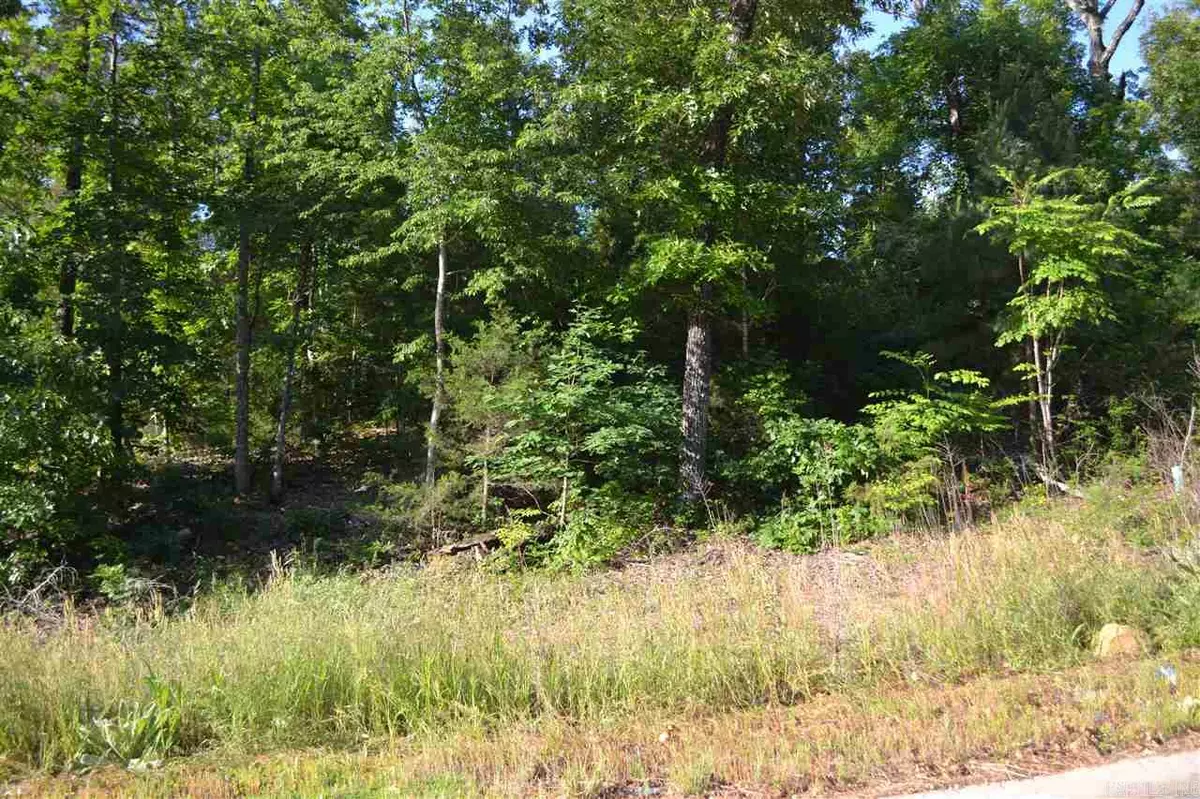 Cabot, AR 72023,Lot 4 Knifechief Cove