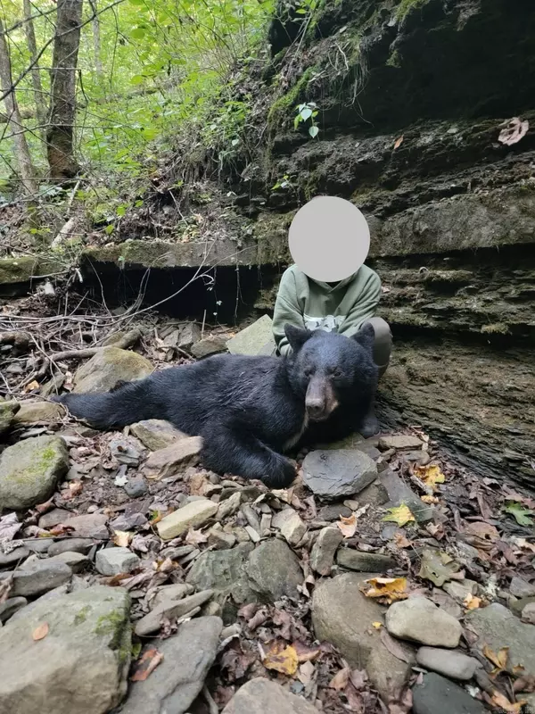 Clinton, AR 72031,Address not disclosed