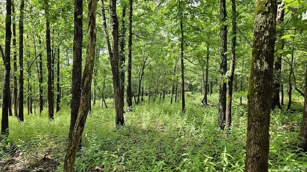 Marshall, AR 72650,Address not disclosed
