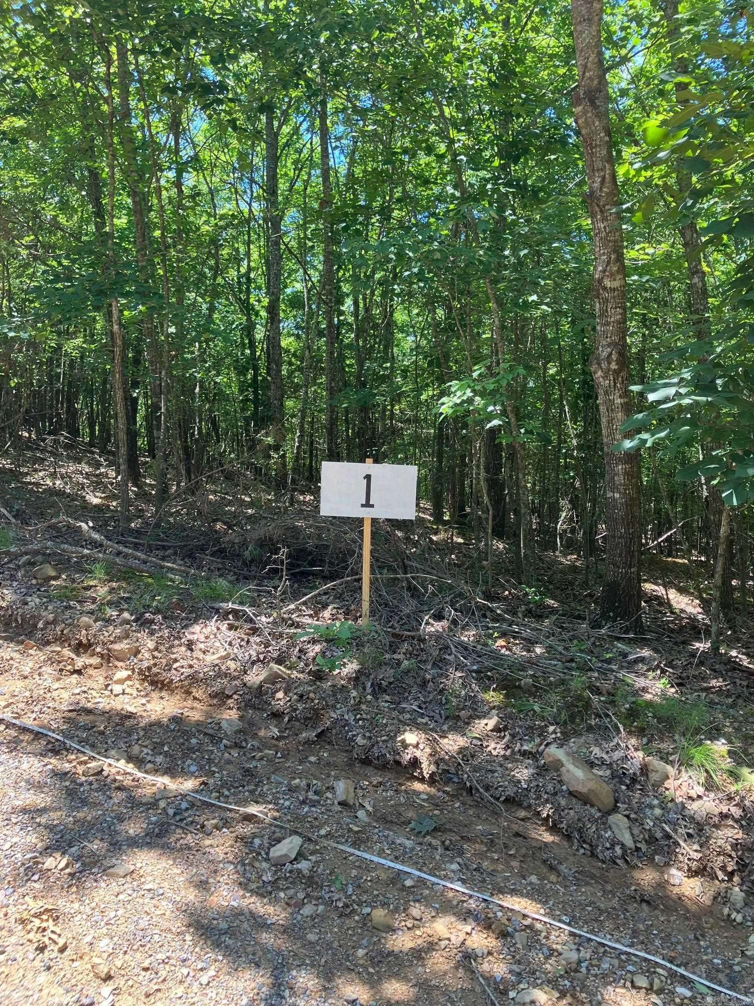 TBD Tract 1 Thompson Creek Lane, Mena, AR 71953