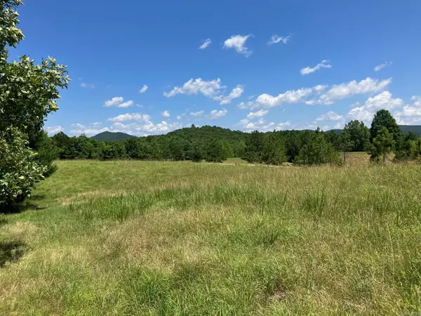 Mena, AR 71953,TBD Tract 3 Thompson Creek Lane
