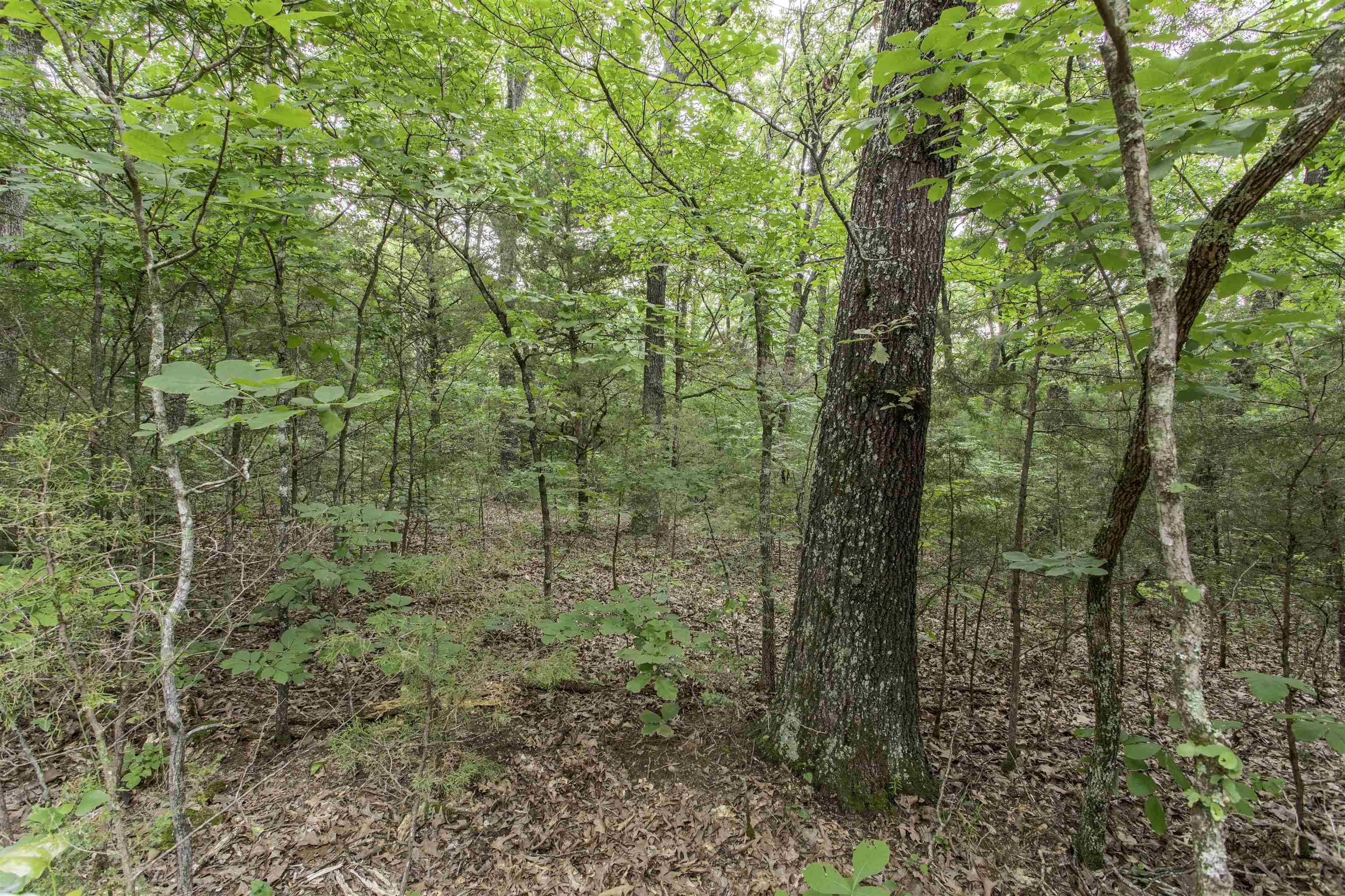 Williford, AR 72482,000 Fawn Ridge Lane