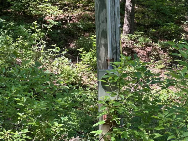Clinton, AR 72031,Timber Grove Road