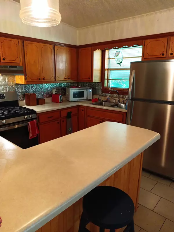 Horseshoe Bend, AR 72512,203 Diamond Ln