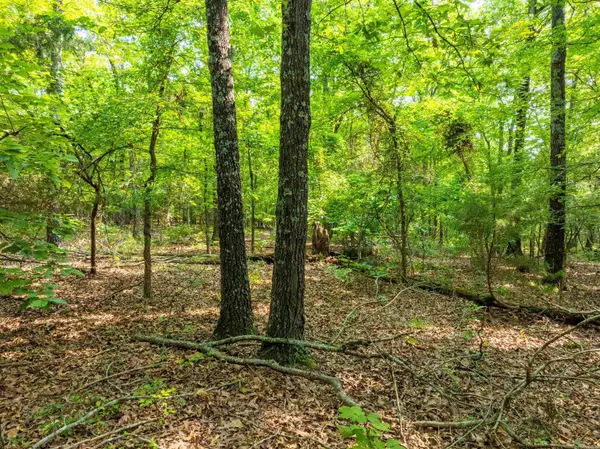 Batesville, AR 72501,000 Cave Creek Road