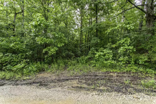 Hardy, AR 72542,00 Red Fox Road