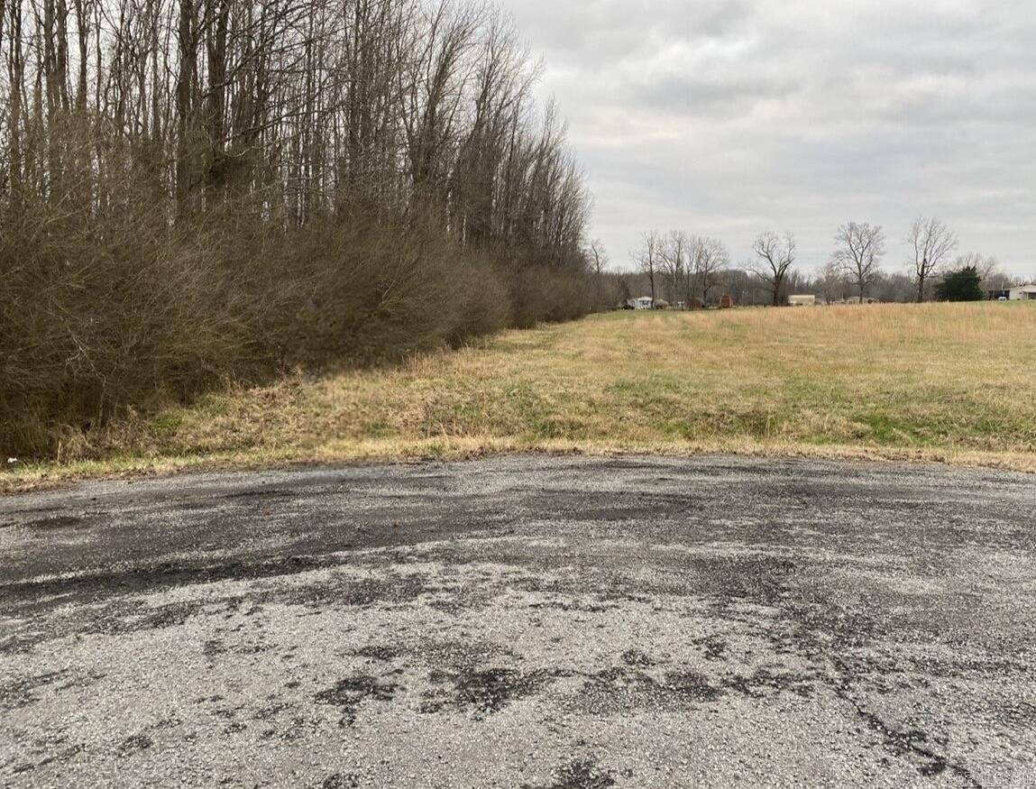 Ward, AR 72176,Lot 13 Chasey Cove