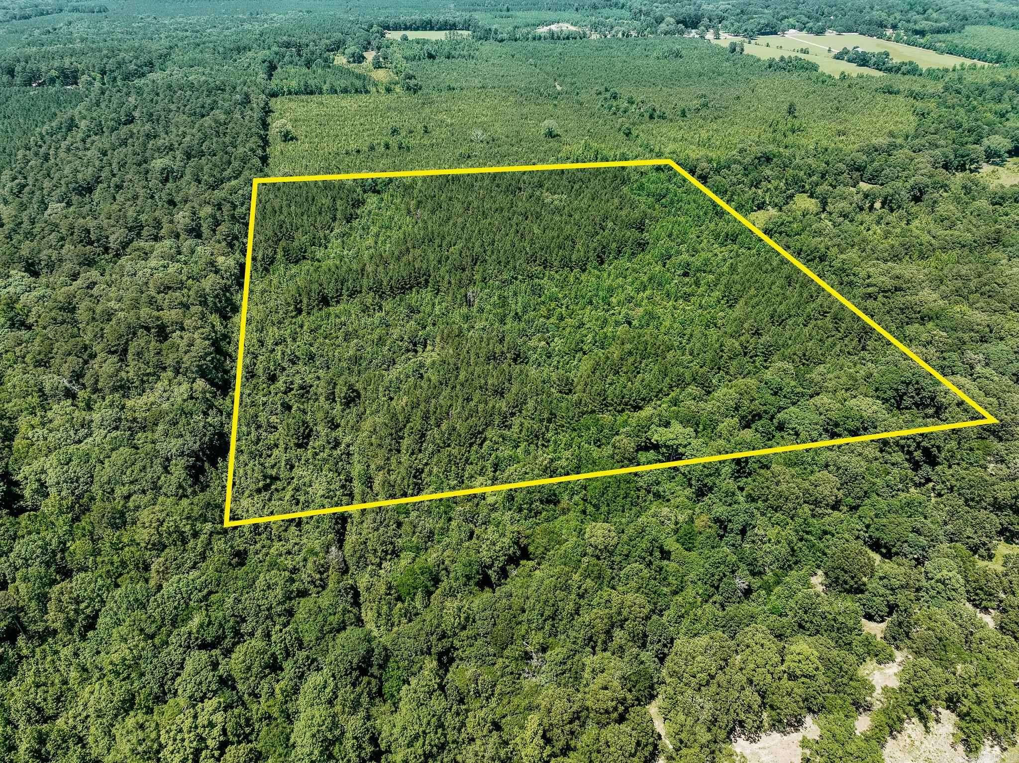 Monticello, AR 71655
